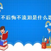 不后悔不流泪是什么歌