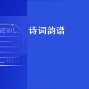 诗词韵谱（关于诗词韵谱的书）