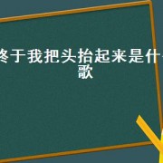 终于我把头抬起来是什么歌