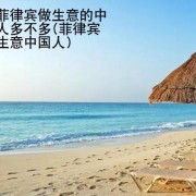 在菲律宾做生意的中国人多不多(菲律宾做生意中国人)