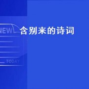含别来的诗词
