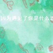 因为遇见了你是什么歌（因为遇见你一切就注定是什么歌）