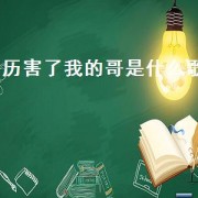 历害了我的哥是什么歌（勇敢勇敢我的朋友是什么歌）