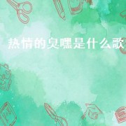 热情的臭嘿是什么歌（烟熏色的眼眸是什么歌）
