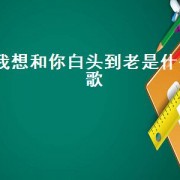 我想和你白头到老是什么歌