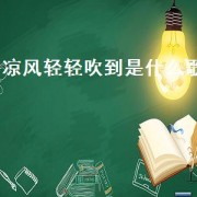 凉风轻轻吹到是什么歌（凉风轻轻吹过粤语歌原唱完整版）