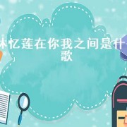 林忆莲在你我之间是什么歌