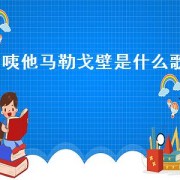 咦他 *** 戈壁是什么歌（咦他 *** 戈壁是什么梗）