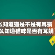 怎么知道猫是不是有耳螨（怎么知道猫咪是否有耳螨）