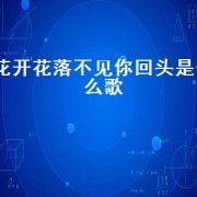花开花落不见你回头是什么歌（花开花落不见你回头的唯美句子）