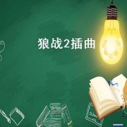 狼战2插曲（战狼2 插曲）