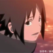 火影忍者：为什么很多人叫宇智波佐助为二柱子？晴天助的梗有责任
