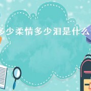 多少柔情多少泪是什么歌（多少柔情多少泪粤语歌）