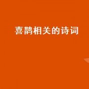 喜鹊相关的诗词