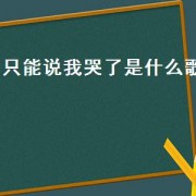 只能说我哭了是什么歌