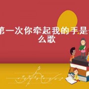 第一次你牵起我的手是什么歌