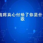我将真心付给了你是什么歌