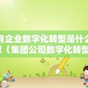 国有企业数字化转型是什么意思（集团公司数字化转型）