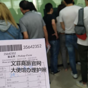 菲律宾补办护照流程（补办护照流程）