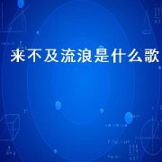 来不及流浪是什么歌（来不及流浪的歌词大意）