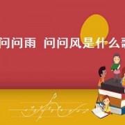 问问雨 问问风是什么歌（问问雨问问风相似的歌）