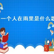 一个人在雨里是什么歌（一个人在雨中歌词）