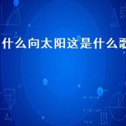 什么向太阳这是什么歌（什么歌词里有一句向太阳）