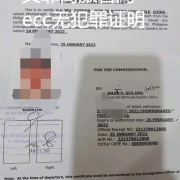 菲律宾ECC清关到期了需要重新办理清关吗？