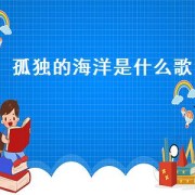孤独的海洋是什么歌