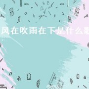 风在吹雨在下是什么歌（风在刮雨在下是什么歌）
