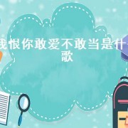 我恨你敢爱不敢当是什么歌（歌词敢爱敢恨是什么歌）