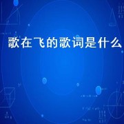 歌在飞的歌词是什么（歌在飞歌曲的全部歌词）