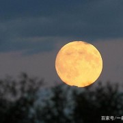 桃园诗词（桃园诗词桃花庵）