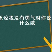 原谅我没有勇气对你说是什么歌（我只想勇敢对你说是什么歌）