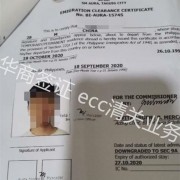 菲律宾ECC照片要求  ECC清关注意事项   华商签证告诉你