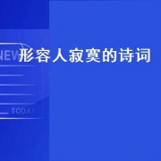 形容人寂寞的诗词