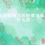 吹呀吹呀我的骄傲放纵是什么歌