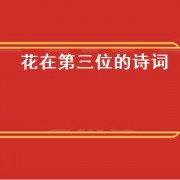 花在第三位的诗词（花在第三位的诗词）