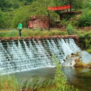 苦竹的诗词（苦竹的诗句古诗）