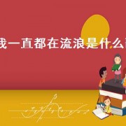 我一直都在流浪是什么歌（歌词有我一直在流浪是什么歌）