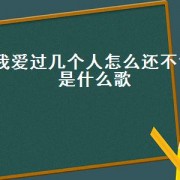 我爱过几个人怎么还不够是什么歌