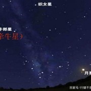 一年级6字古诗大全