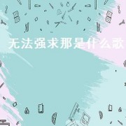 无法强求那是什么歌