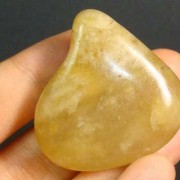 青鱼石在鱼的什么部位？（青鱼石在鱼的什么部位怎么取）