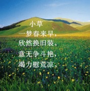 优美诗词第十四集