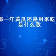 那一年黄瓜还是用来吃的是什么歌（那一年我一个人流泪是什么歌）