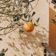 30岁的插曲，你的人生，总有一部分别人的故事