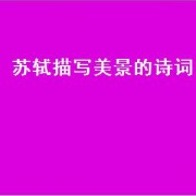 苏轼描写美景的诗词（苏轼写美景的诗词）