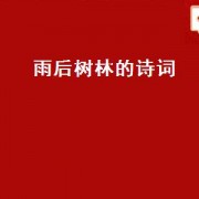 雨后树林的诗词（雨后树林的诗词）