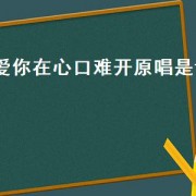 爱你在心口难开原唱是谁（爱你在心口难开原唱dj）